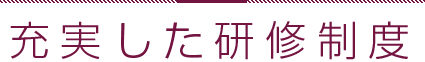 充実した研修制度