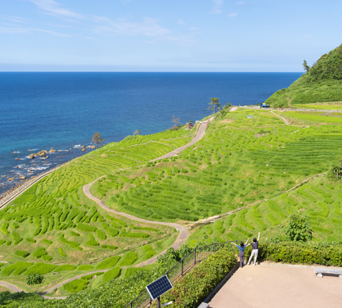 白米千枚田田植え