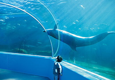 Notojima Aquarium