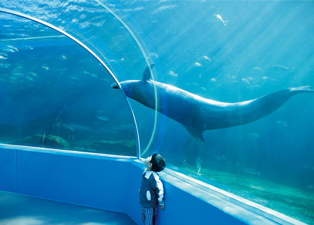 能登島水族館