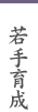 若手育成