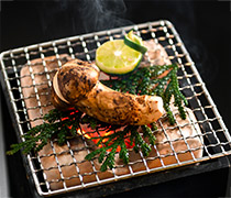 焼き松茸