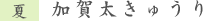 加賀太きゅうり
