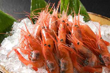 Noto Toki Shrimp