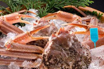 Kano Crab
