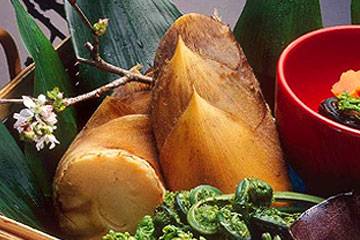 Bamboo Shoots
