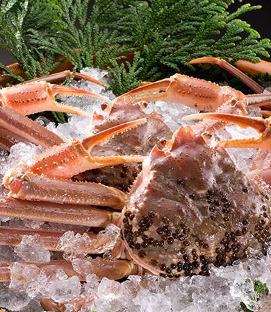 seasonal ingredients04