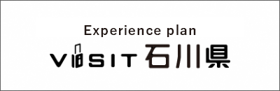 Experience plan