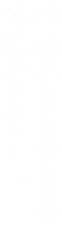 四季のささやきを味にかえて・・・。