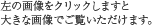 左の画像をクリックしますと大きな画像でご覧いただけます。