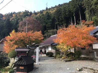 かやぶきの里の紅葉