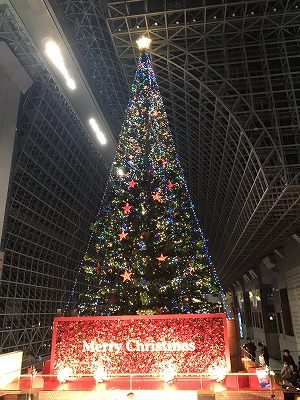 京都駅クリスマスツリー