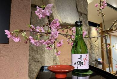 銀座店「手取川 初しぼり」