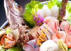 いきいき地魚