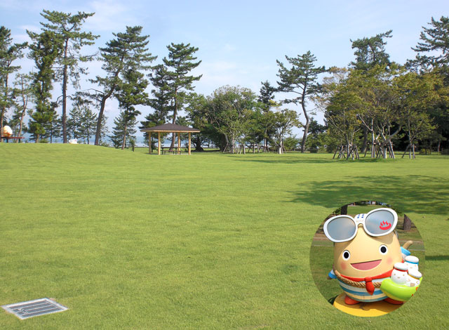 遊びに行く(わくたまくん緑地公園)
