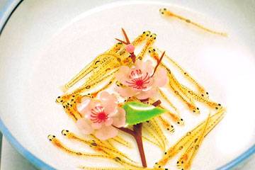 鰕虎魚